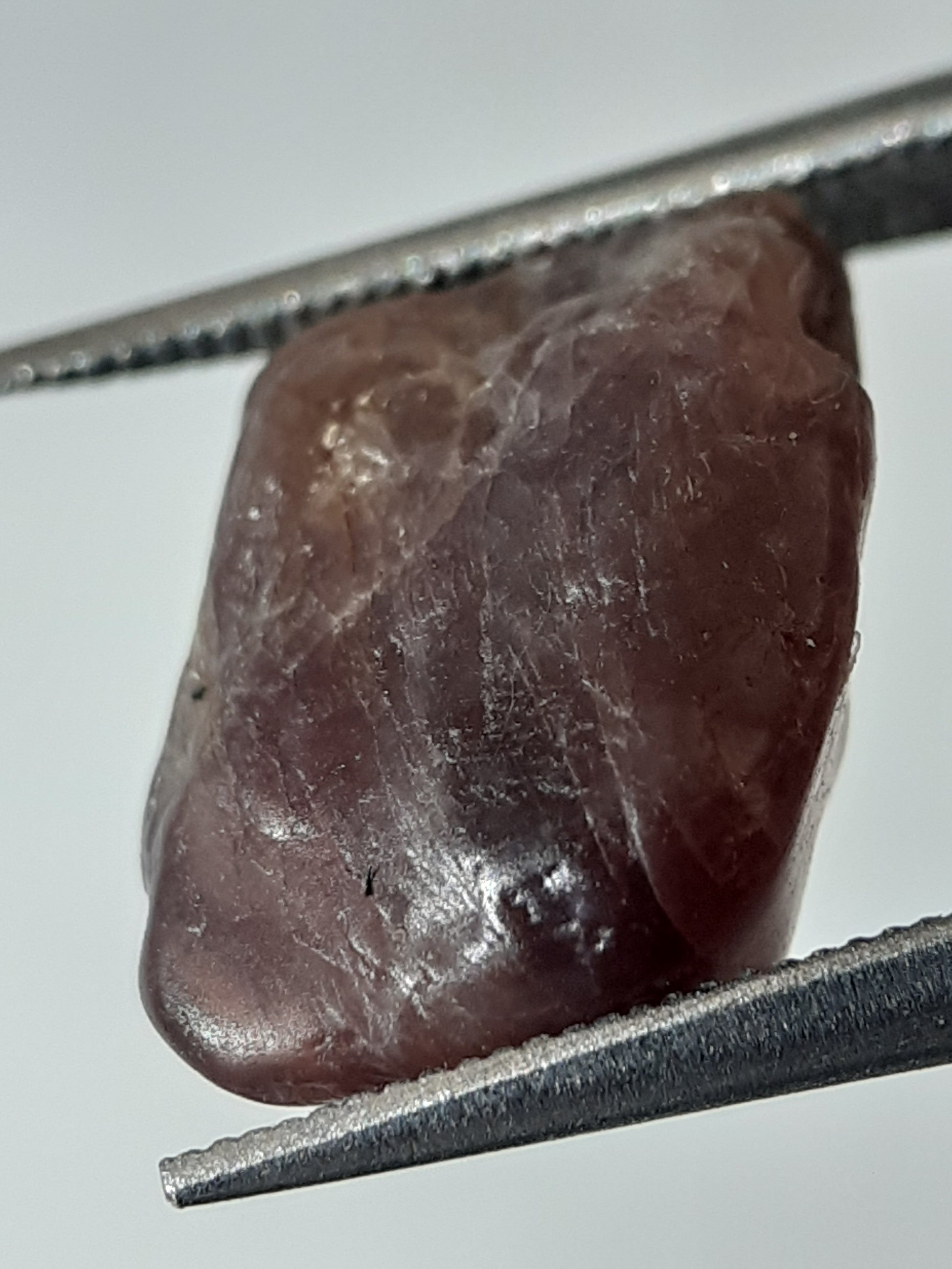 Natural purplish red Spinel - 4.637 ct - Rough Gemstone - unheated - Natural Gems Belgium