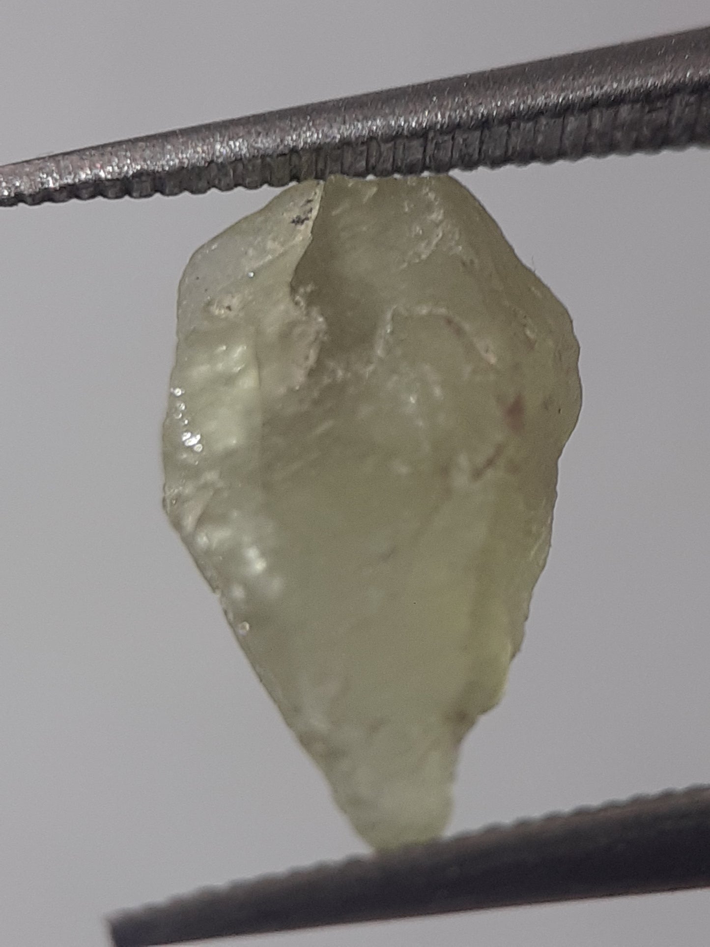 Natural yellowish green Apatite - 1.409 ct - Rough Gemstone - unheated - Natural Gems Belgium