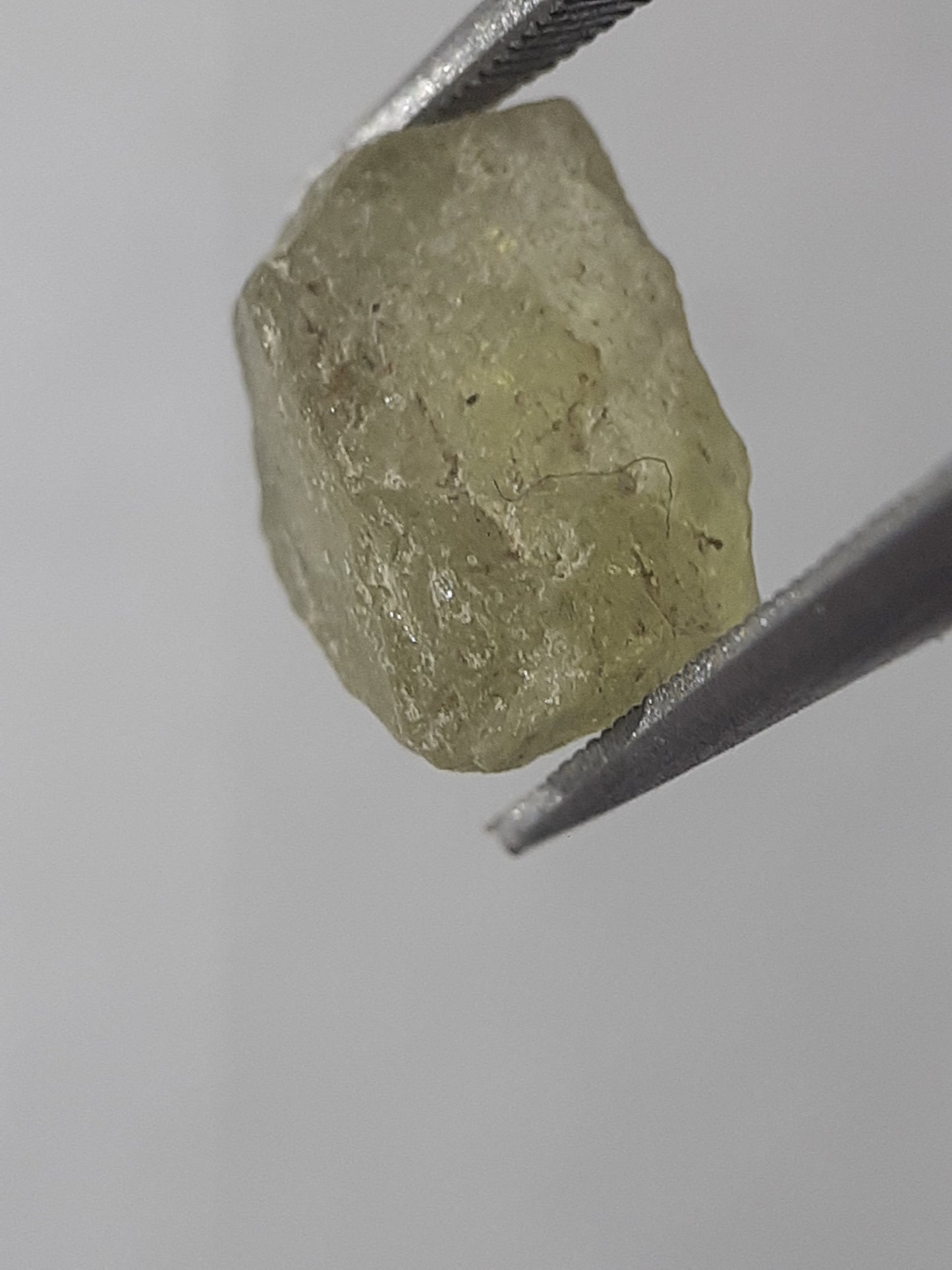 Natural light green Apatite - 1.703 ct - Rough Gemstone - unheated - Natural Gems Belgium