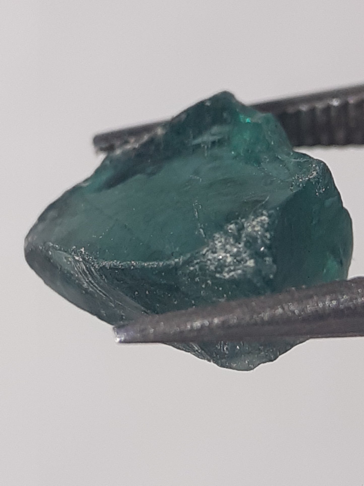 Natural bluish green Apatite - 1.593 ct - Rough Gemstone - unheated - Natural Gems Belgium