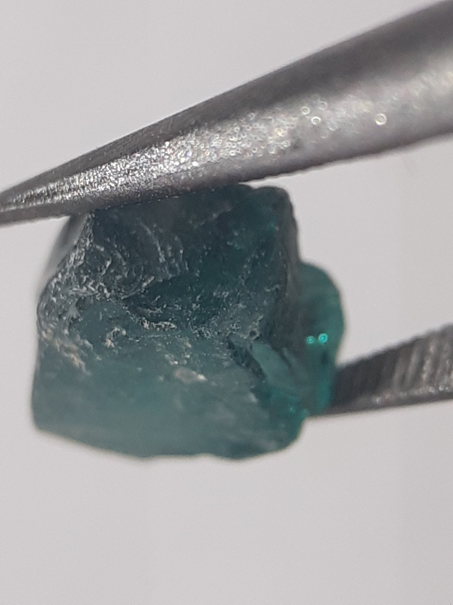 Natural bluish green Apatite - 1.593 ct - Rough Gemstone - unheated - Natural Gems Belgium