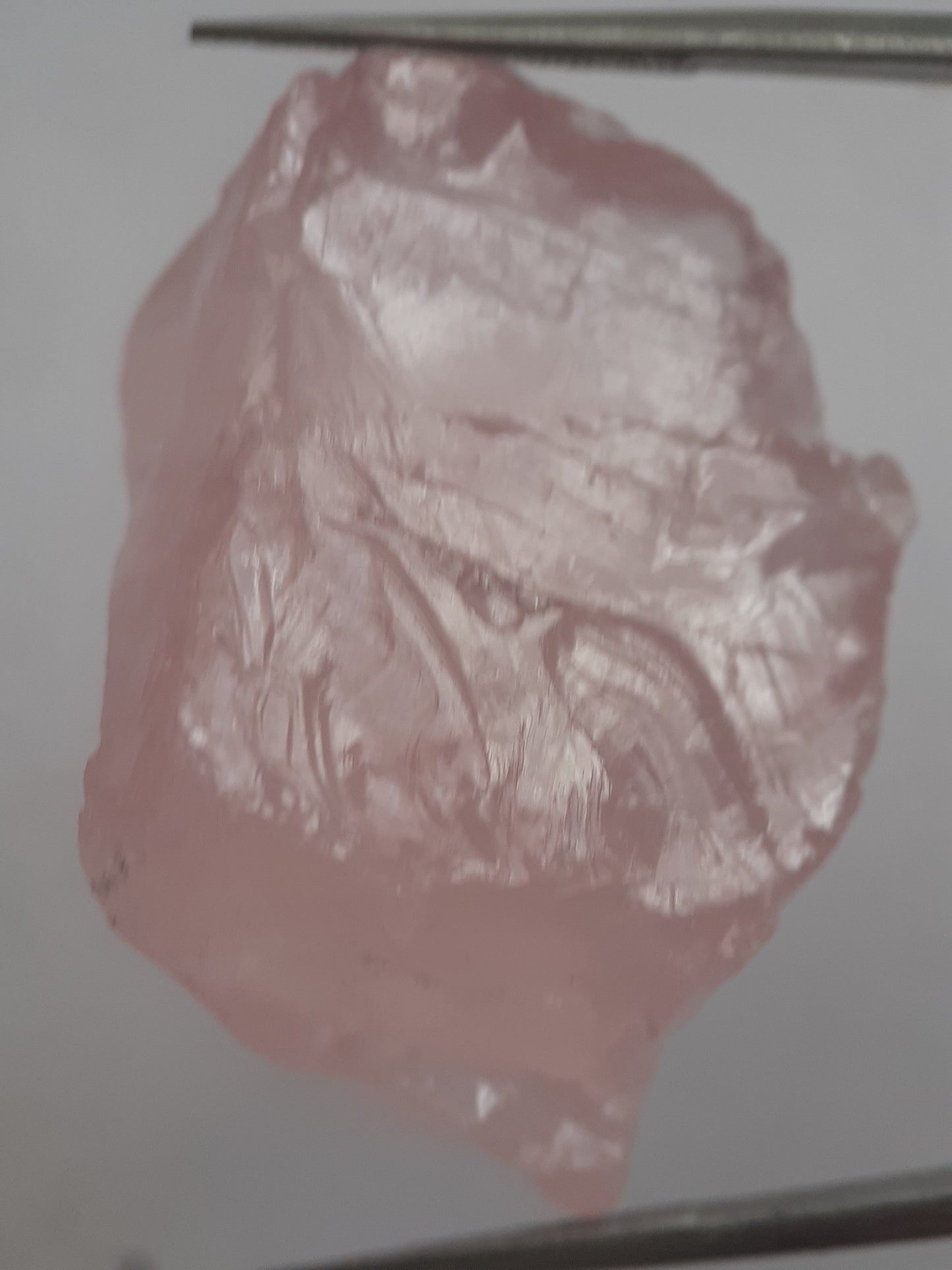 Natural Rose Quartz - facet quality - 66.128 ct - Rough Gemstone - certified natural - Natural Gems Belgium