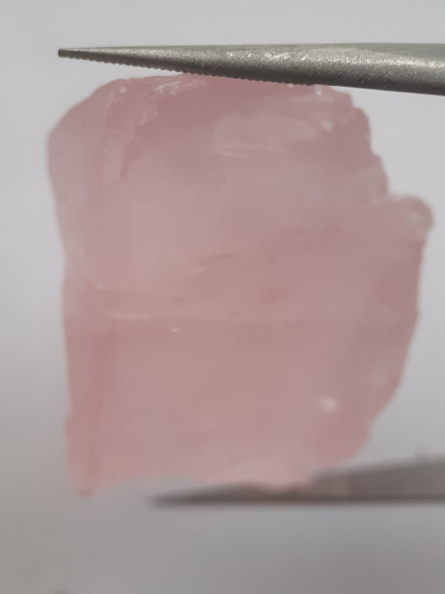 Natural Rose Quartz - facet quality - 66.128 ct - Rough Gemstone - certified natural - Natural Gems Belgium