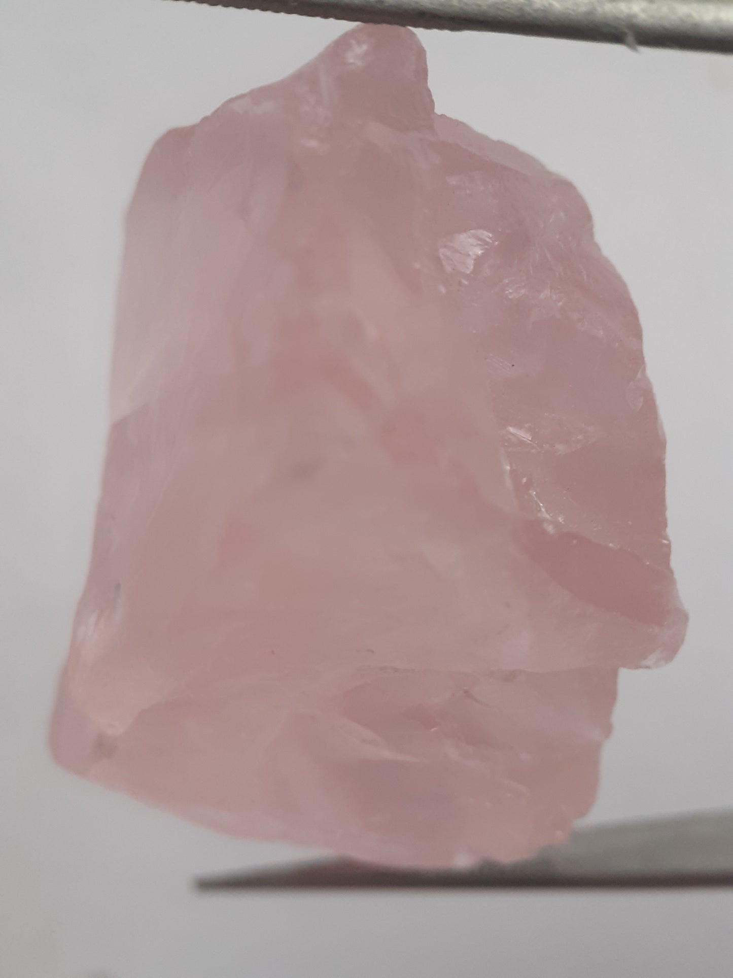 Natural Rose Quartz - facet quality - 66.128 ct - Rough Gemstone - certified natural - Natural Gems Belgium