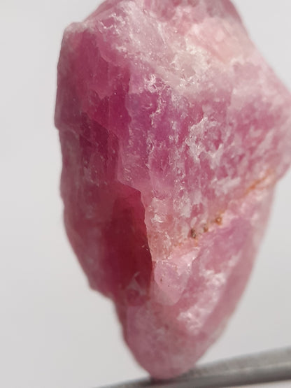 Natural purplish red Ruby - 24.989 ct - rough ruby - heated - certified natural - Natural Gems Belgium