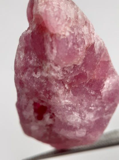 Natural purplish red Ruby - 24.989 ct - rough ruby - heated - certified natural - Natural Gems Belgium