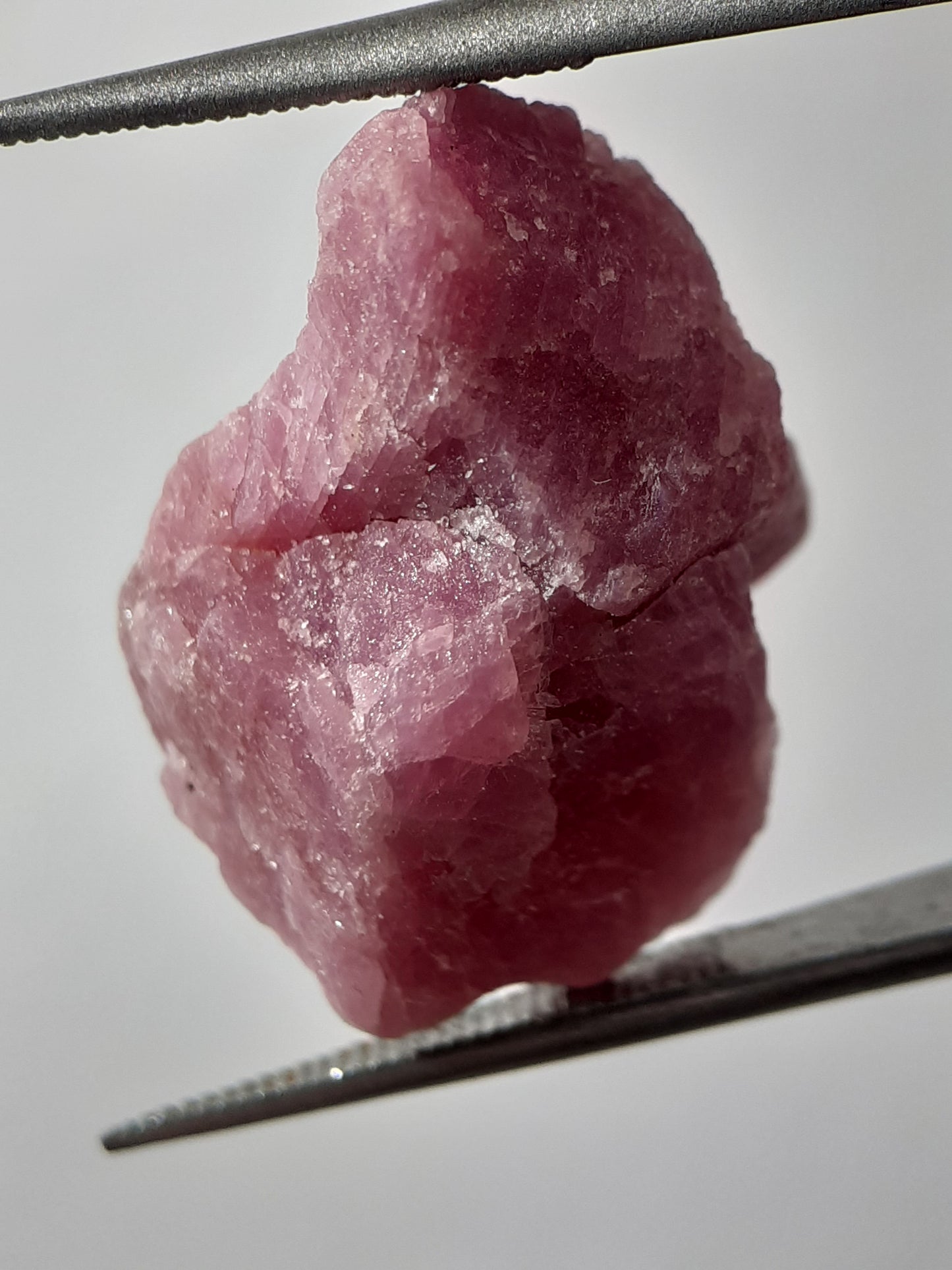 Natural purplish red Ruby - 16.448 ct - rough ruby - heated - certified natural - Natural Gems Belgium