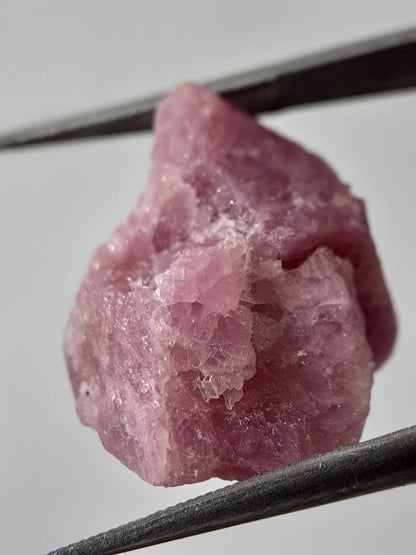 Natural purplish red Ruby - 16.448 ct - rough ruby - heated - certified natural - Natural Gems Belgium