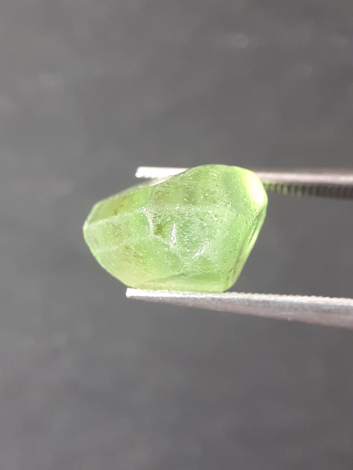 Natural Green Peridot - 5.329 ct - rough gemstone - facet quality- certified natural - Natural Gems Belgium