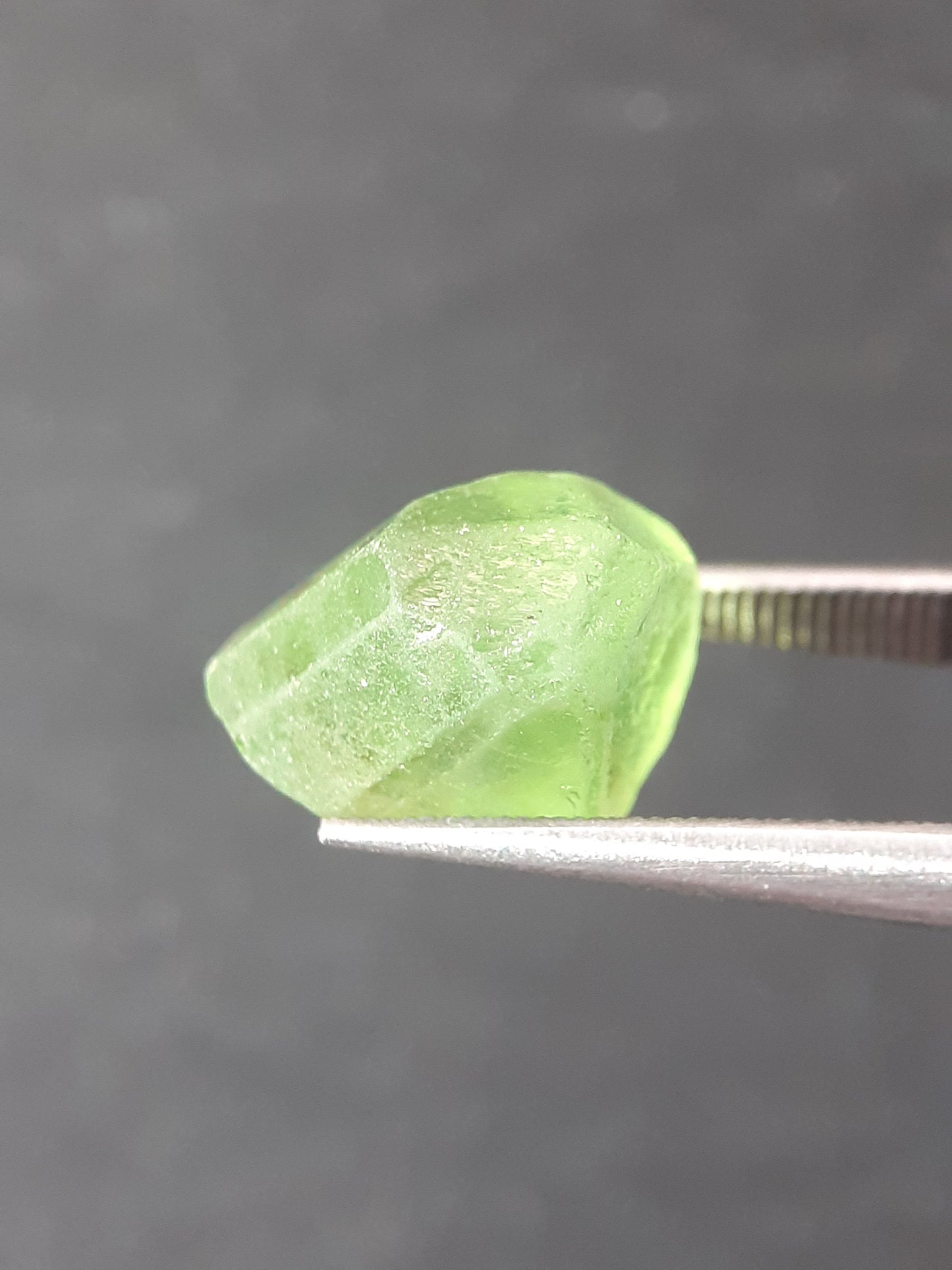 Natural Green Peridot - 5.329 ct - rough gemstone - facet quality- certified natural - Natural Gems Belgium