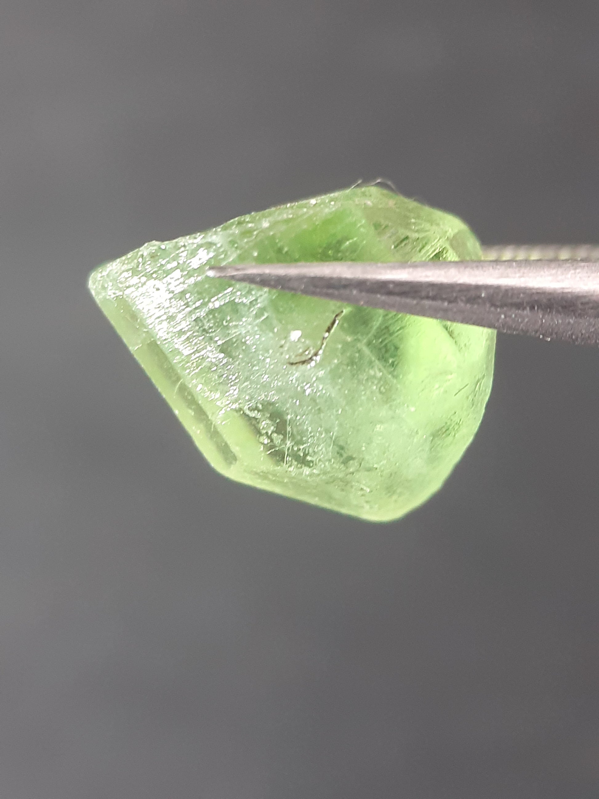 Natural Green Peridot - 5.329 ct - rough gemstone - facet quality- certified natural - Natural Gems Belgium