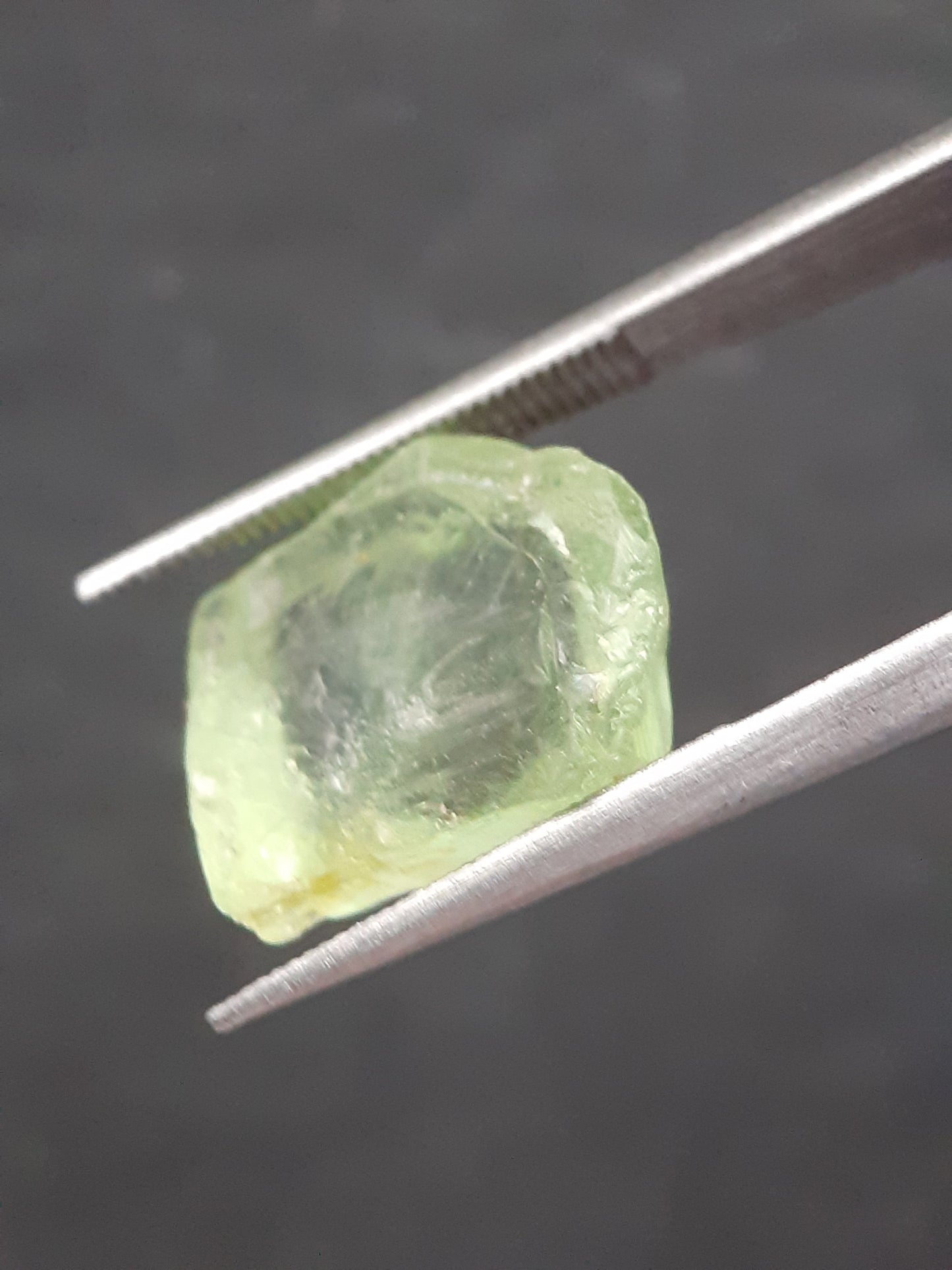 Natural Green Peridot - 5.514 ct - rough gemstone - facet quality- certified natural - Natural Gems Belgium