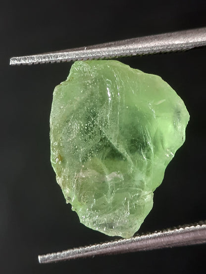 Natural Green Peridot - 4.995 ct - rough gemstone - facet quality- certified natural - Natural Gems Belgium