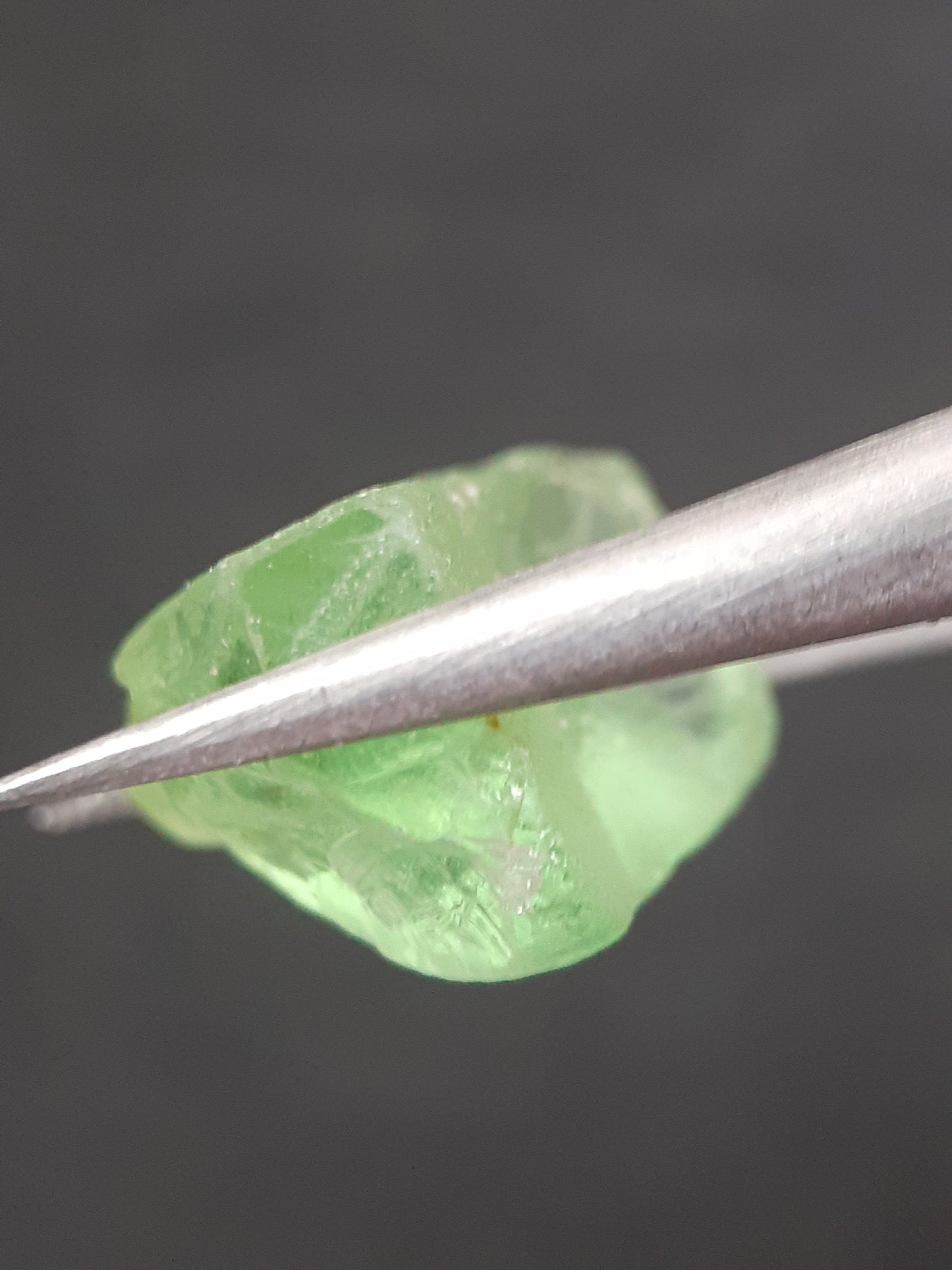 Natural Green Peridot - 9.279 ct - rough gemstone - facet quality- certified natural - Natural Gems Belgium