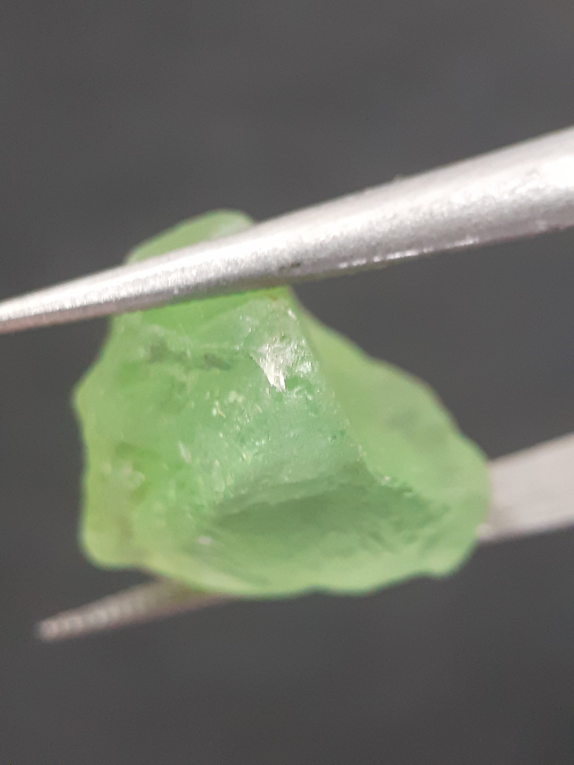 Natural Green Peridot - 9.279 ct - rough gemstone - facet quality- certified natural - Natural Gems Belgium