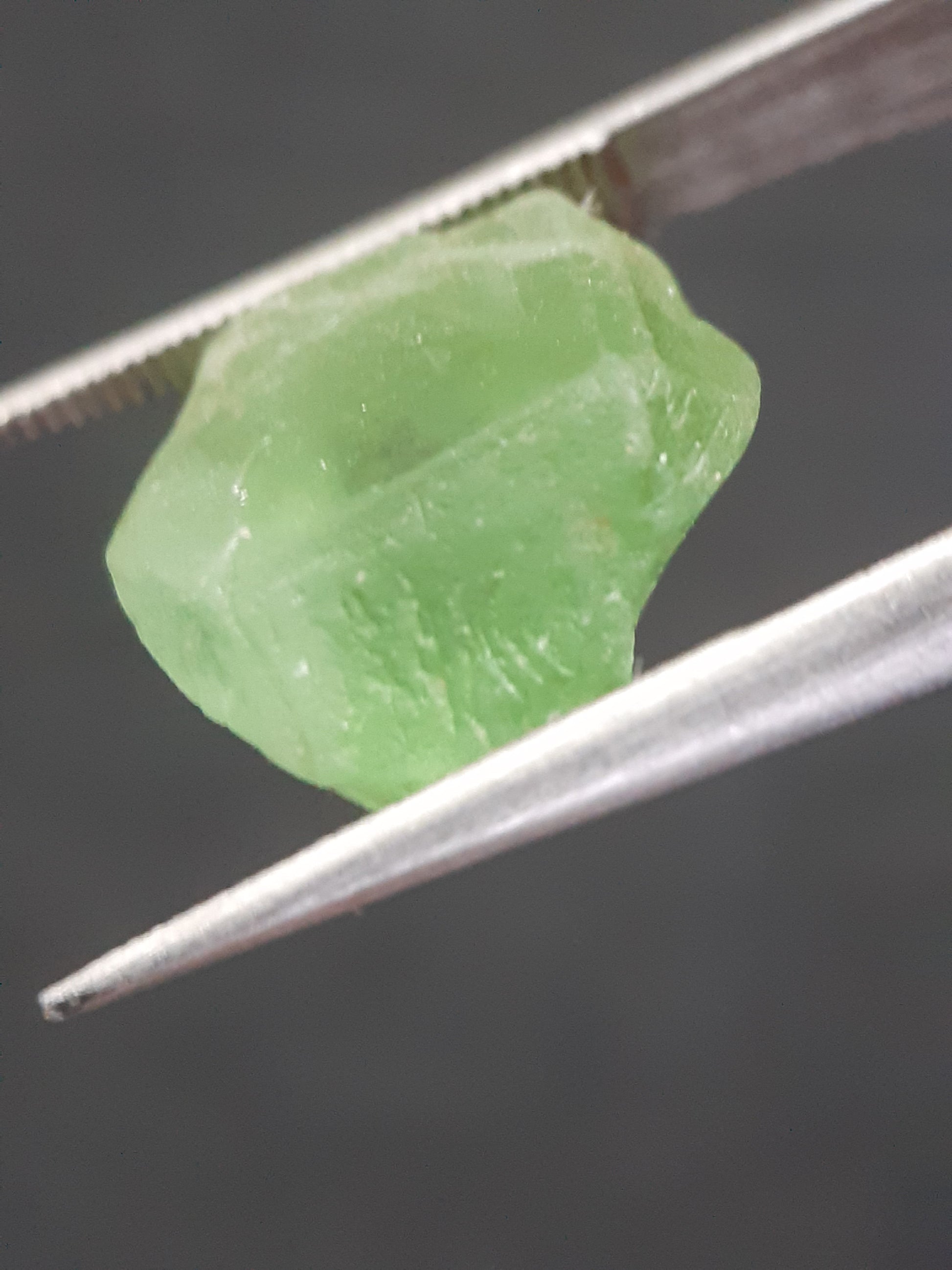 Natural Green Peridot - 8.725 ct - rough gemstone - for faceting - certified natural - Natural Gems Belgium