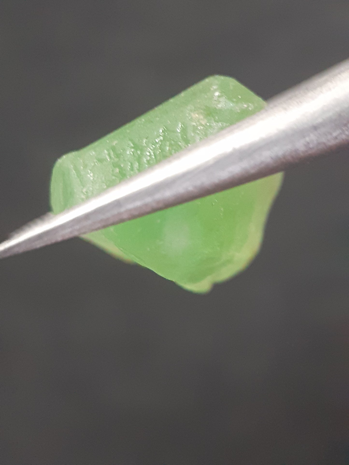 Natural Green Peridot - 8.725 ct - rough gemstone - for faceting - certified natural - Natural Gems Belgium