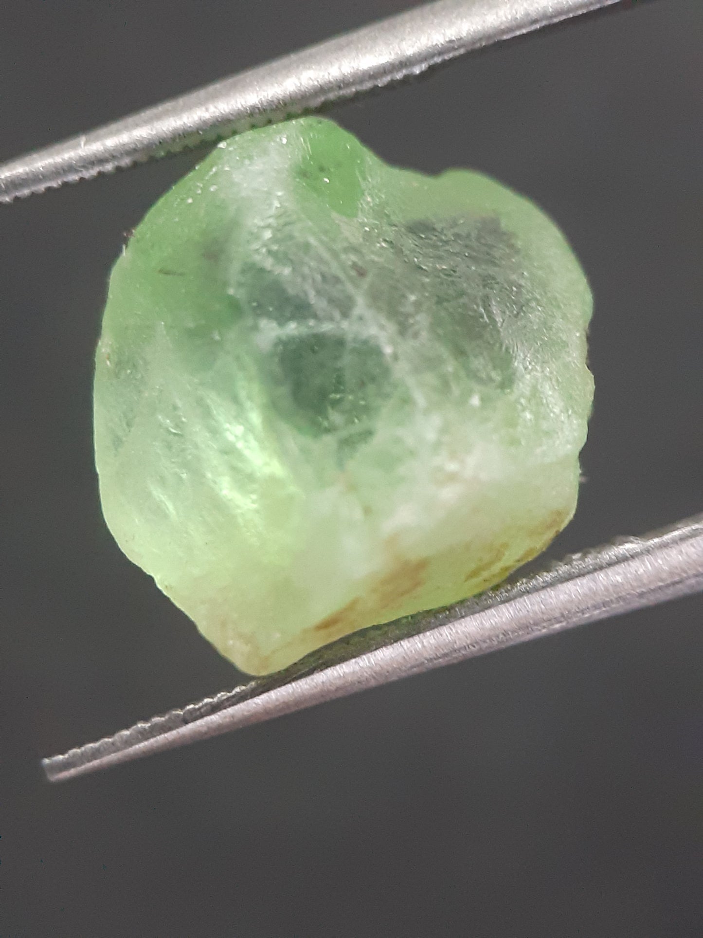 Natural Green Peridot - 8.725 ct - rough gemstone - for faceting - certified natural - Natural Gems Belgium