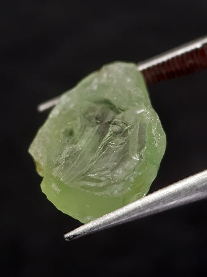 Natural Green Peridot - 4.994 ct - rough gemstone - for faceting - certified natural - Natural Gems Belgium