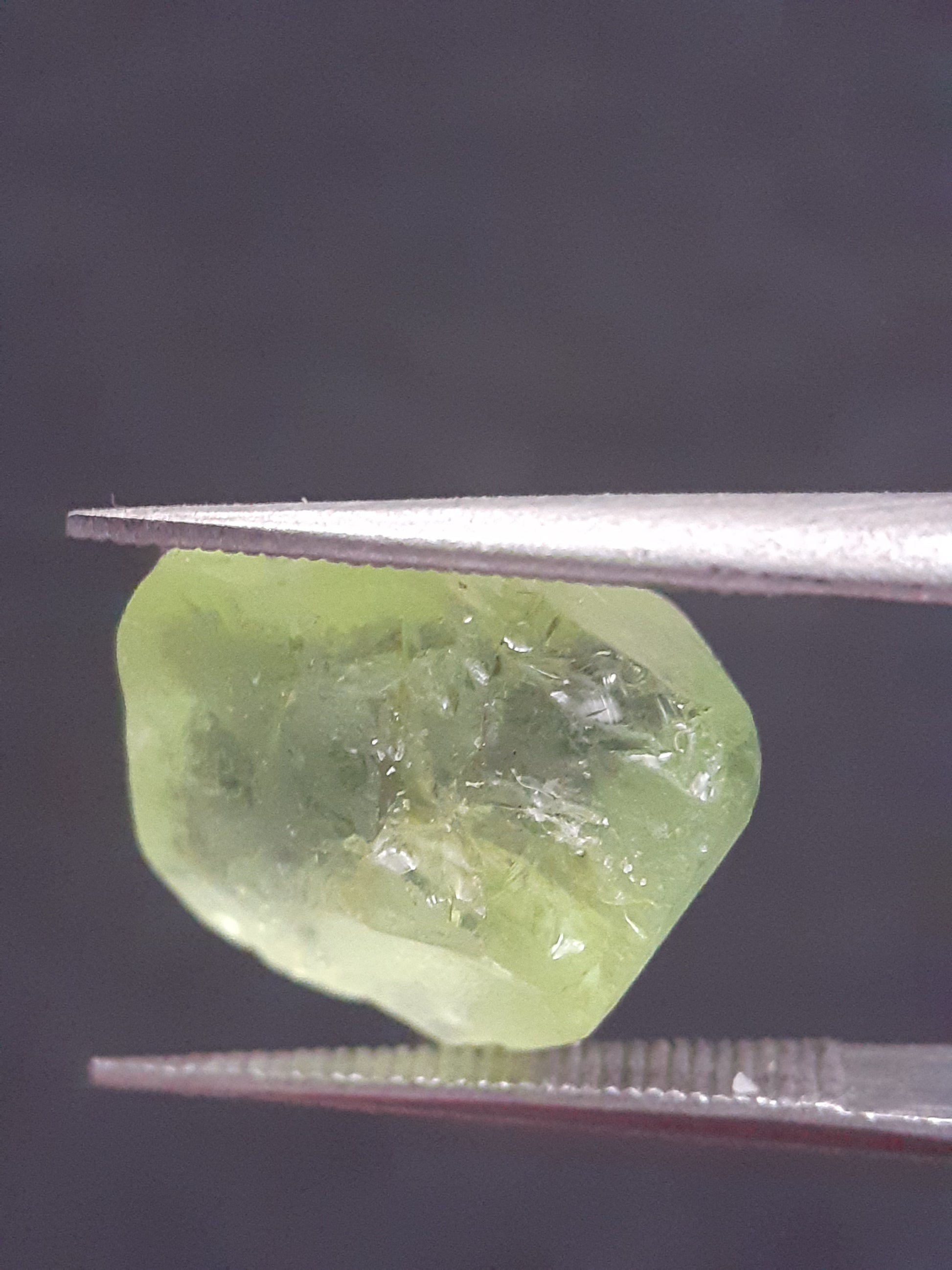 Natural Green Peridot - 5.708 ct - rough gemstone - for faceting - certified natural - Natural Gems Belgium