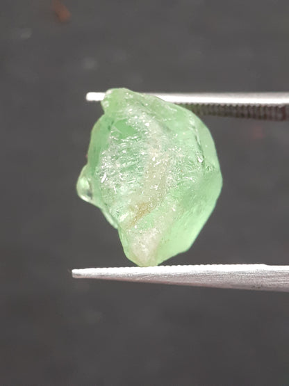 Natural Green Peridot - 7.563 ct - rough gemstone - for faceting - certified natural - Natural Gems Belgium