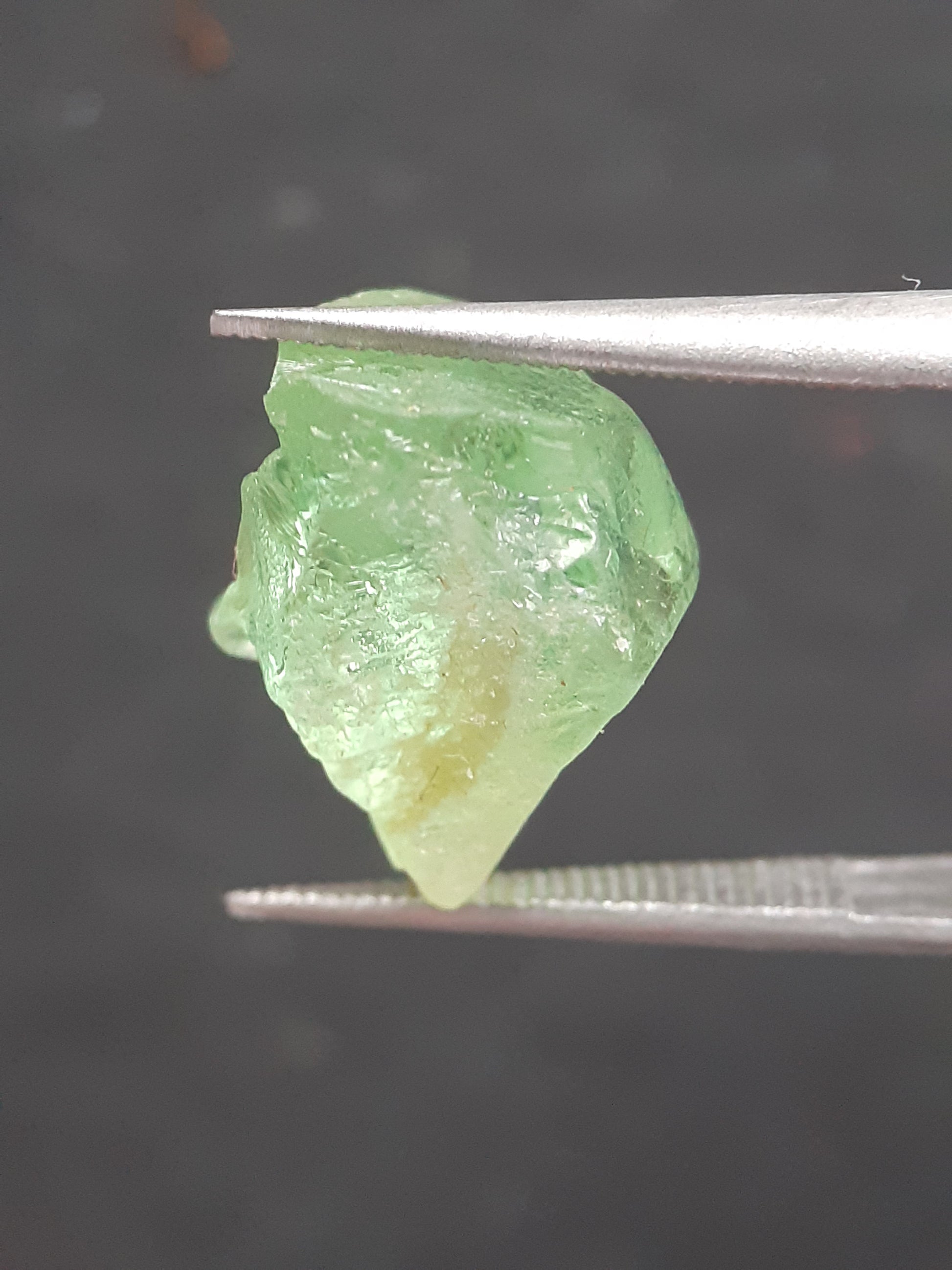 Natural Green Peridot - 7.563 ct - rough gemstone - for faceting - certified natural - Natural Gems Belgium