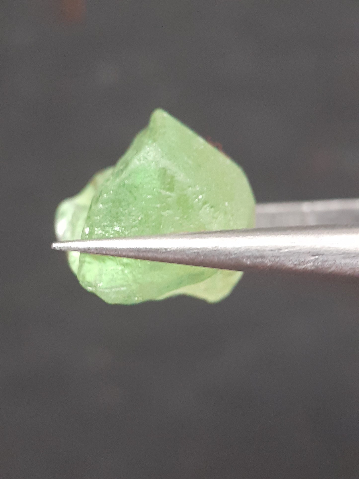 Natural Green Peridot - 7.563 ct - rough gemstone - for faceting - certified natural - Natural Gems Belgium