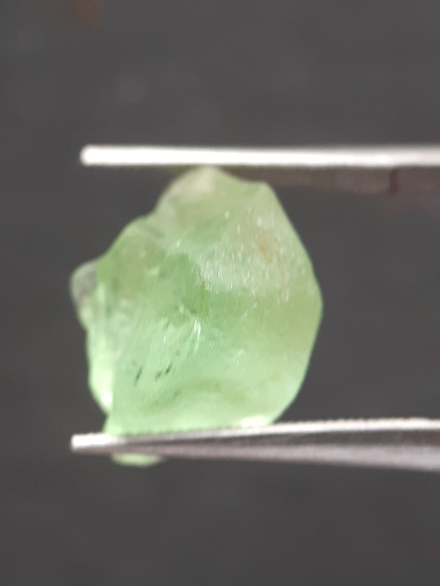 Natural Green Peridot - 7.563 ct - rough gemstone - for faceting - certified natural - Natural Gems Belgium