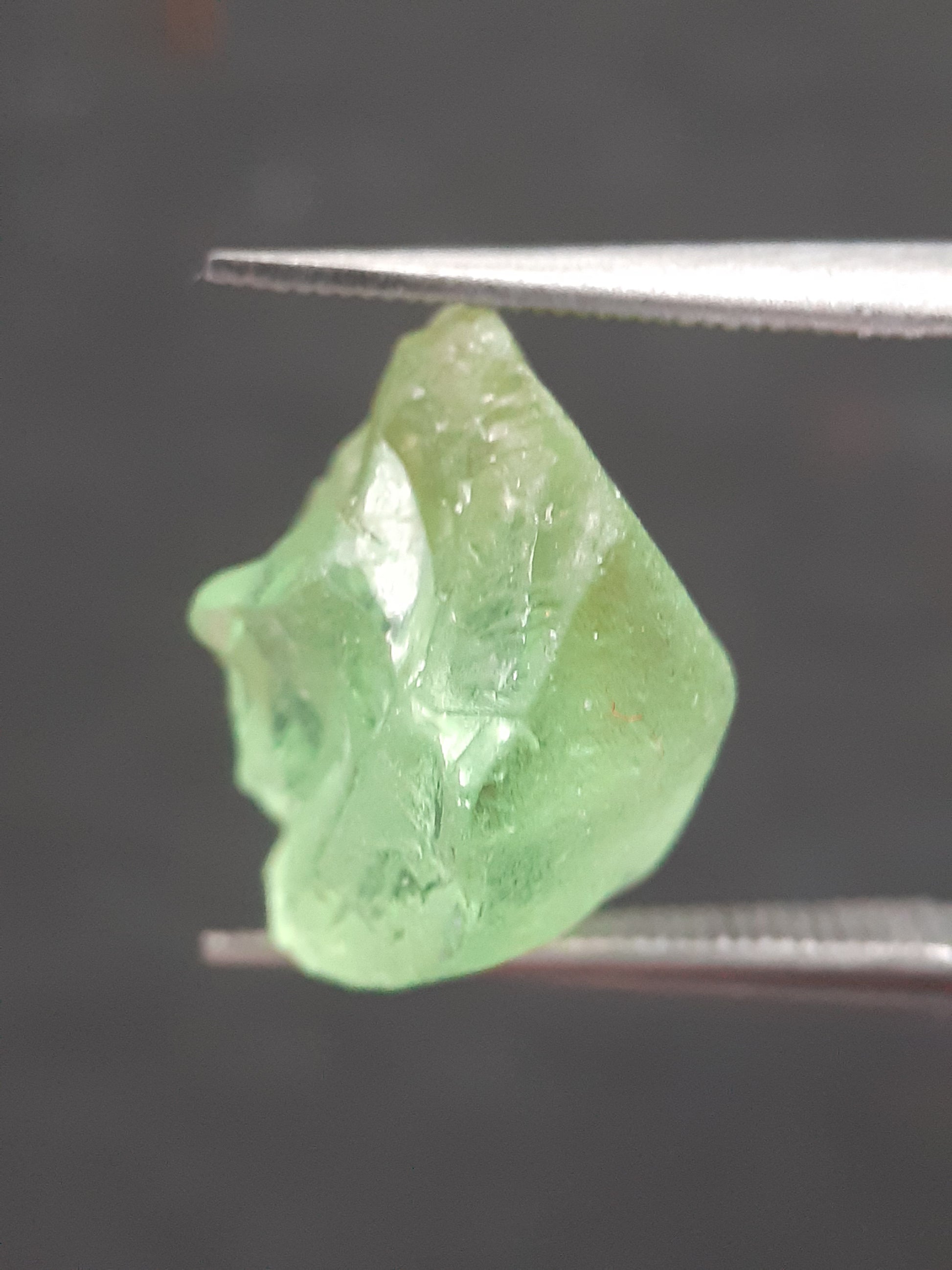 Natural Green Peridot - 7.563 ct - rough gemstone - for faceting - certified natural - Natural Gems Belgium