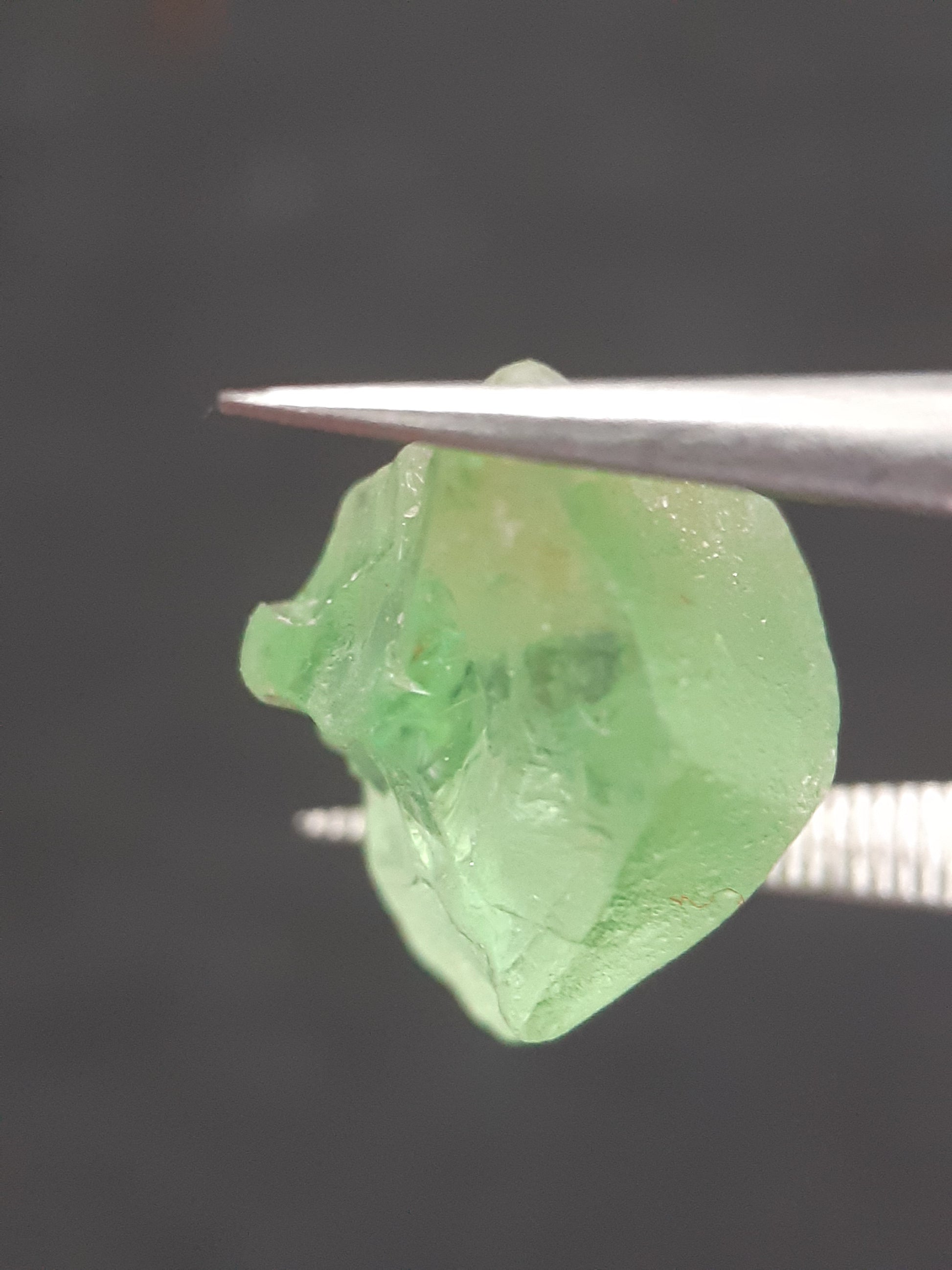 Natural Green Peridot - 7.563 ct - rough gemstone - for faceting - certified natural - Natural Gems Belgium