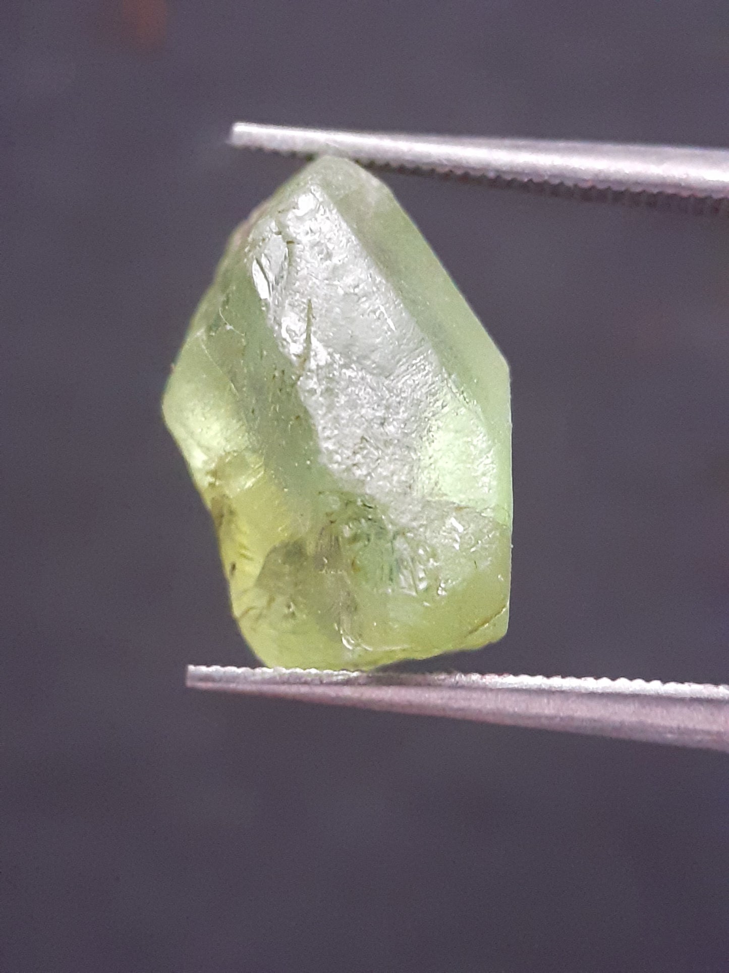 Natural Green Peridot - 7.640 ct - rough gemstone - for faceting - certified natural - Natural Gems Belgium