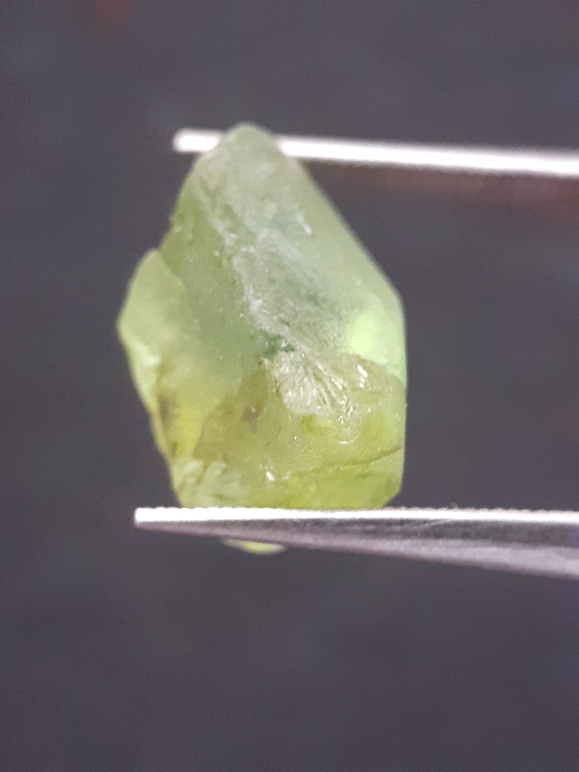 Natural Green Peridot - 7.640 ct - rough gemstone - for faceting - certified natural - Natural Gems Belgium