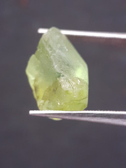 Natural Green Peridot - 7.640 ct - rough gemstone - for faceting - certified natural - Natural Gems Belgium