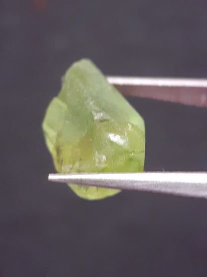 Natural Green Peridot - 7.640 ct - rough gemstone - for faceting - certified natural - Natural Gems Belgium