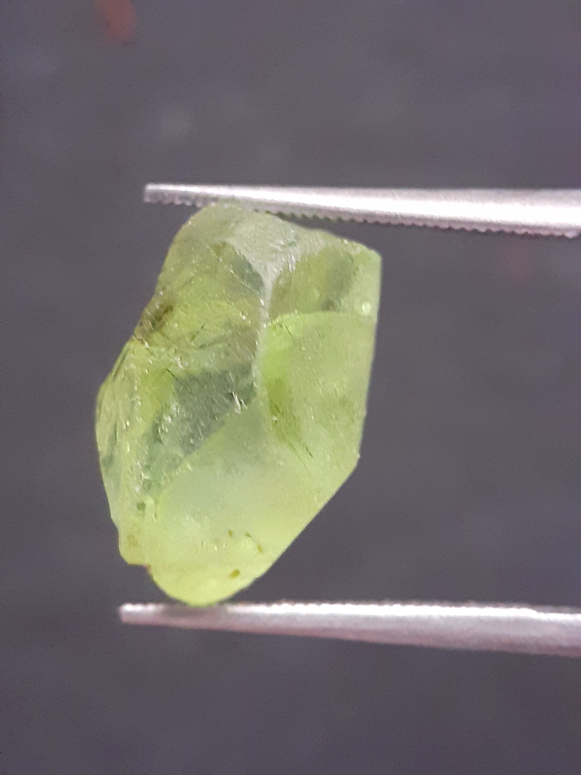 Natural Green Peridot - 7.640 ct - rough gemstone - for faceting - certified natural - Natural Gems Belgium