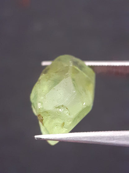 Natural Green Peridot - 7.640 ct - rough gemstone - for faceting - certified natural - Natural Gems Belgium