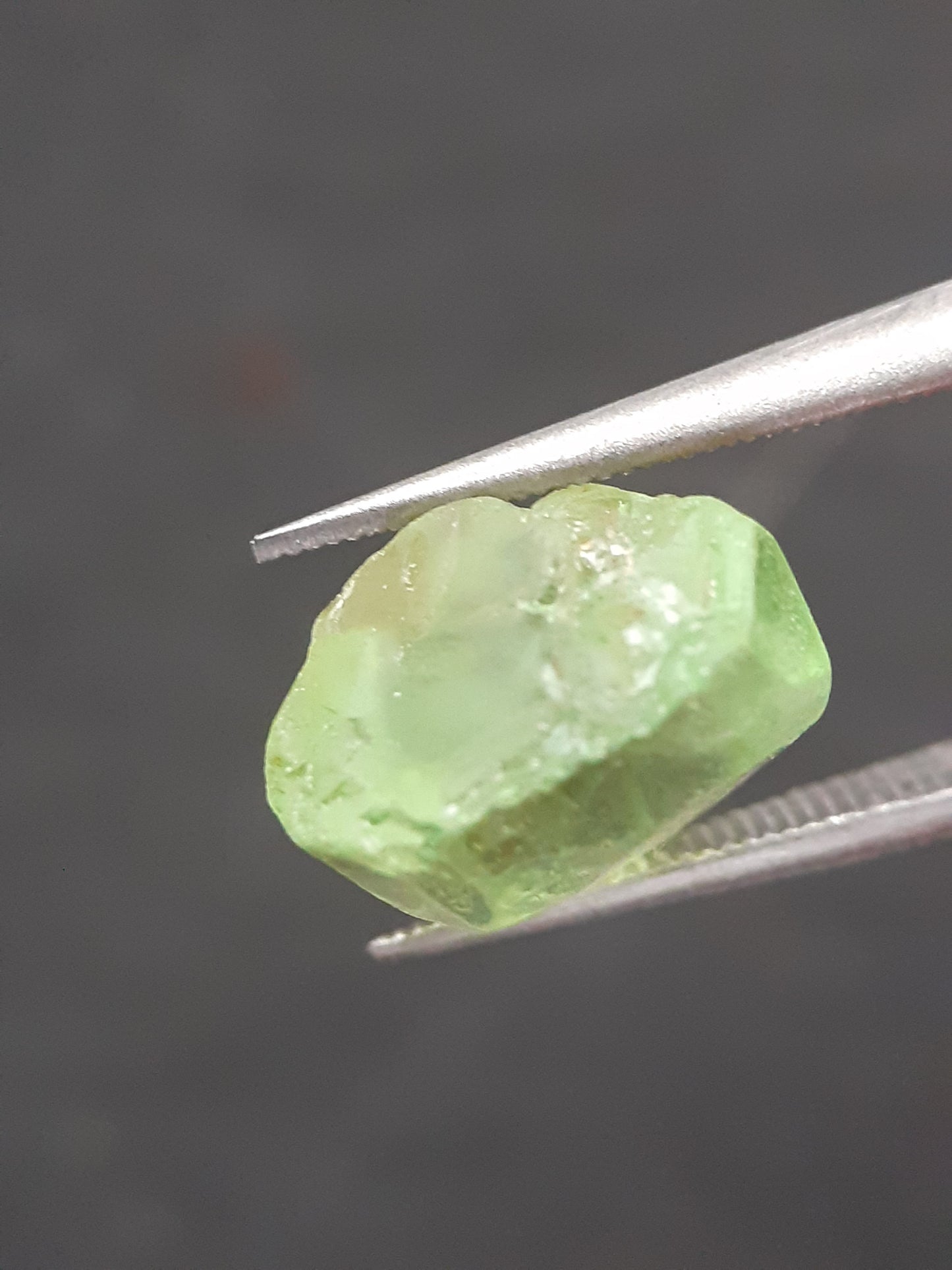 Natural Green Peridot - 4.765 ct - rough gemstone - for faceting - certified natural - Natural Gems Belgium