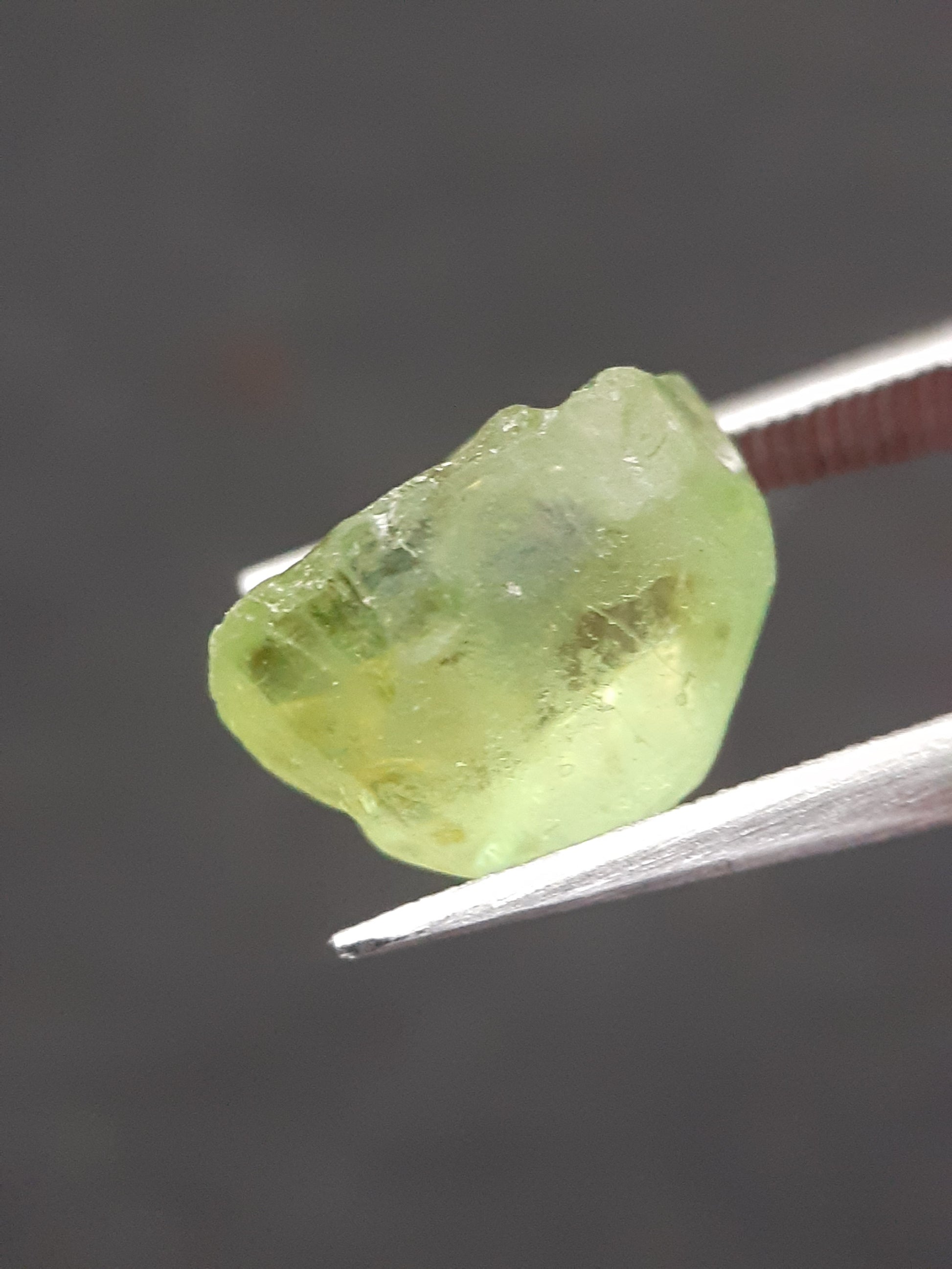 Natural Green Peridot - 4.765 ct - rough gemstone - for faceting - certified natural - Natural Gems Belgium