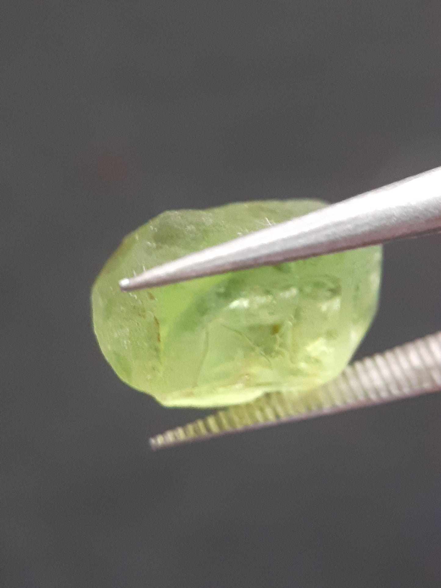 Natural Green Peridot - 4.765 ct - rough gemstone - for faceting - certified natural - Natural Gems Belgium