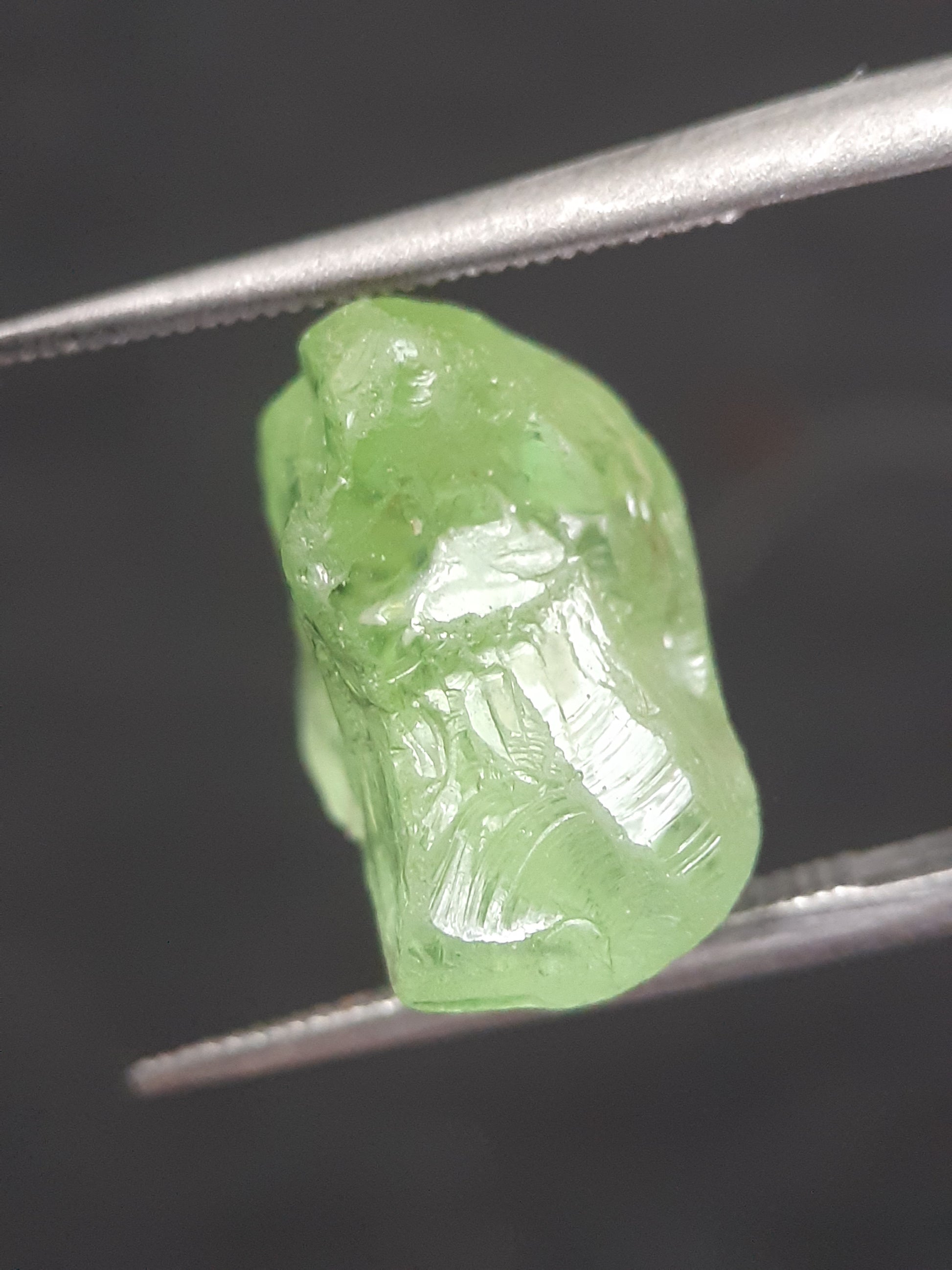 Natural Green Peridot - 6.295 ct - rough gemstone - for faceting - certified natural - Natural Gems Belgium