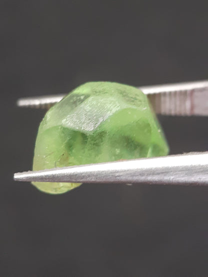 Natural Green Peridot - 5.593 ct - rough gemstone - for faceting - certified natural - Natural Gems Belgium