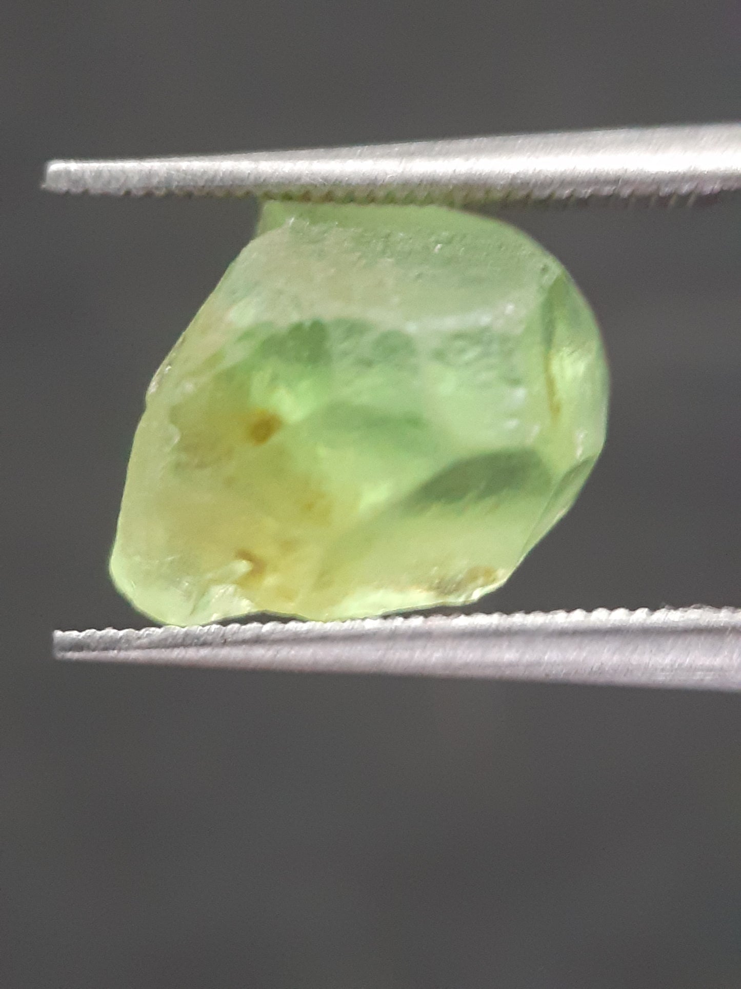 Natural Green Peridot - 5.593 ct - rough gemstone - for faceting - certified natural - Natural Gems Belgium