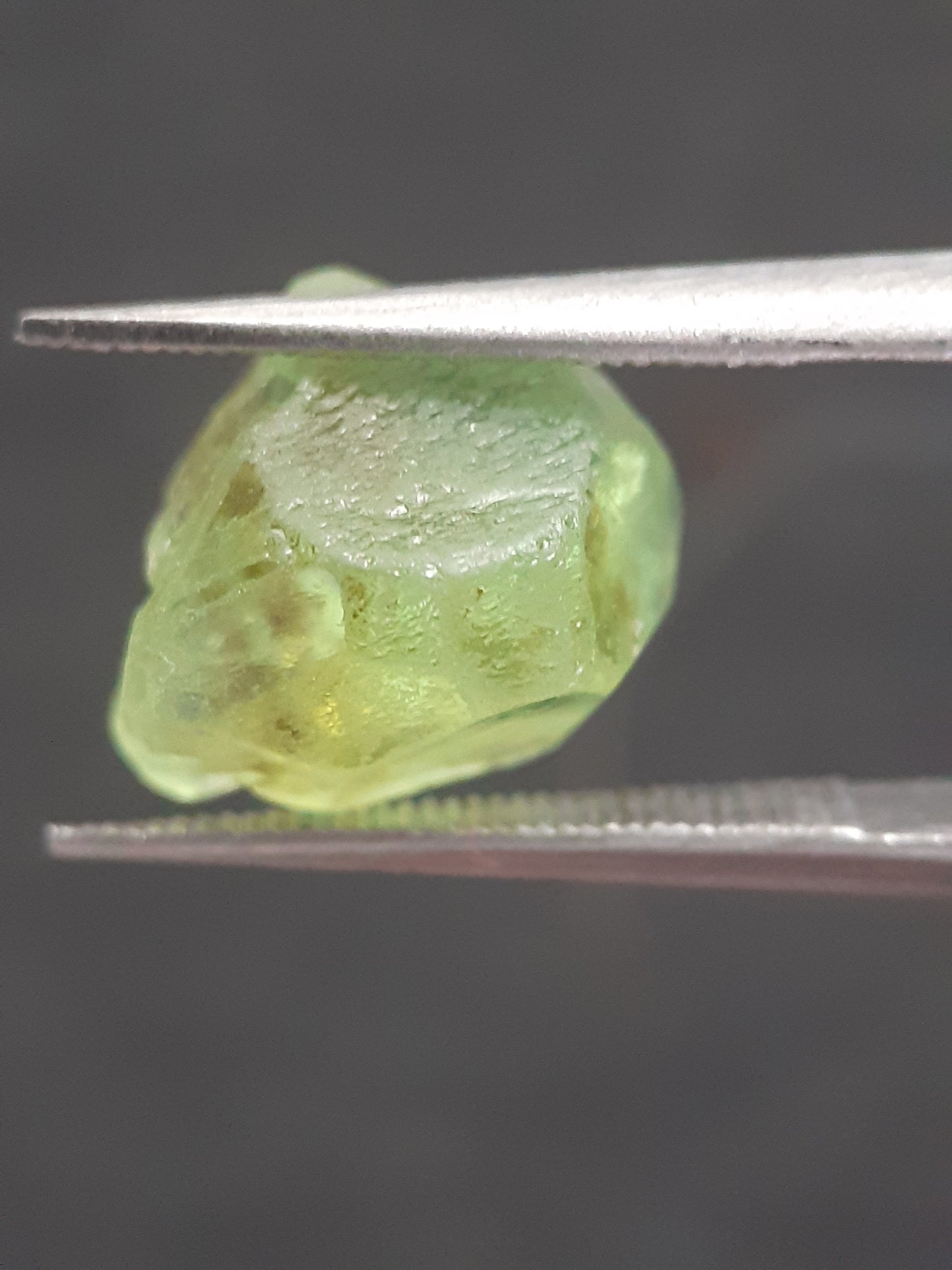 Natural Green Peridot - 5.593 ct - rough gemstone - for faceting - certified natural - Natural Gems Belgium