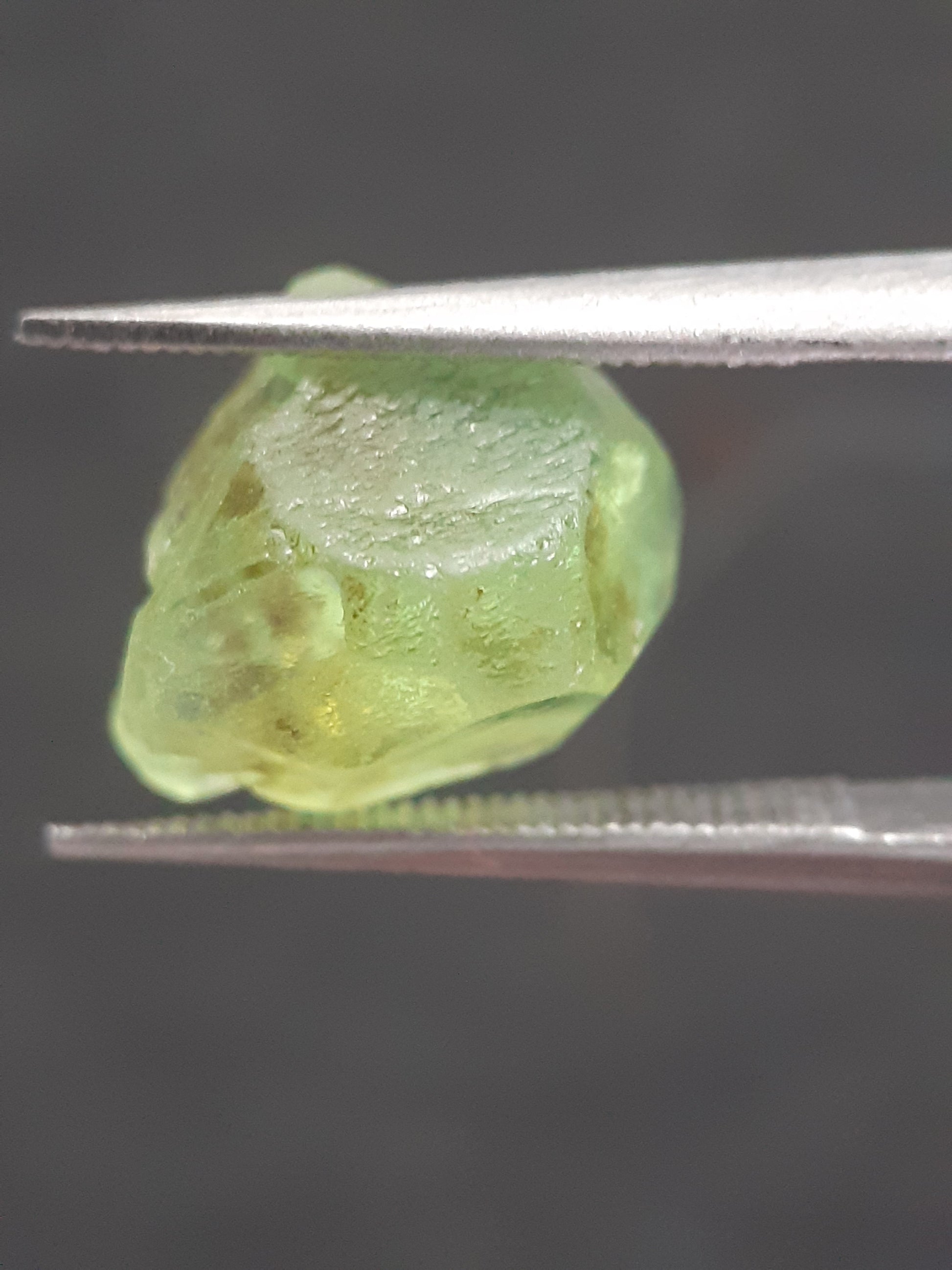 Natural Green Peridot - 5.593 ct - rough gemstone - for faceting - certified natural - Natural Gems Belgium