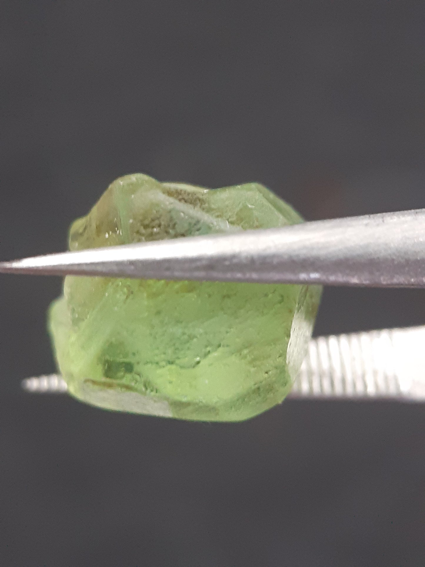 Natural Green Peridot - 5.593 ct - rough gemstone - for faceting - certified natural - Natural Gems Belgium