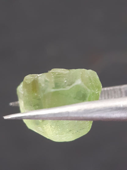 Natural Green Peridot - 5.593 ct - rough gemstone - for faceting - certified natural - Natural Gems Belgium