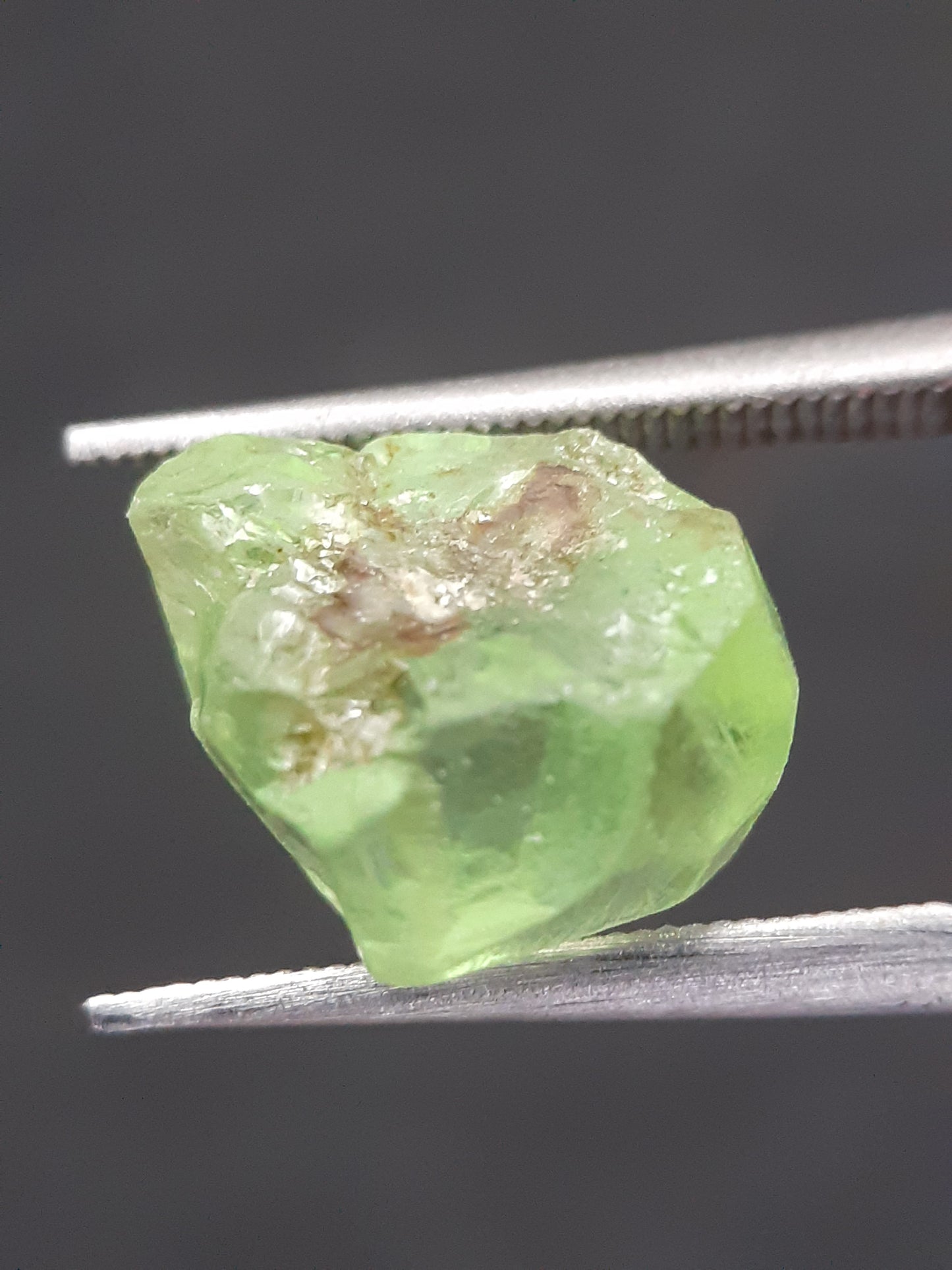 Natural Green Peridot - 5.593 ct - rough gemstone - for faceting - certified natural - Natural Gems Belgium