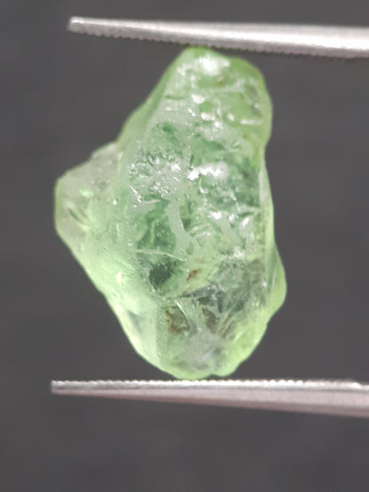 Natural Green Peridot - 6.589 ct - rough gemstone - for faceting - certified natural - Natural Gems Belgium