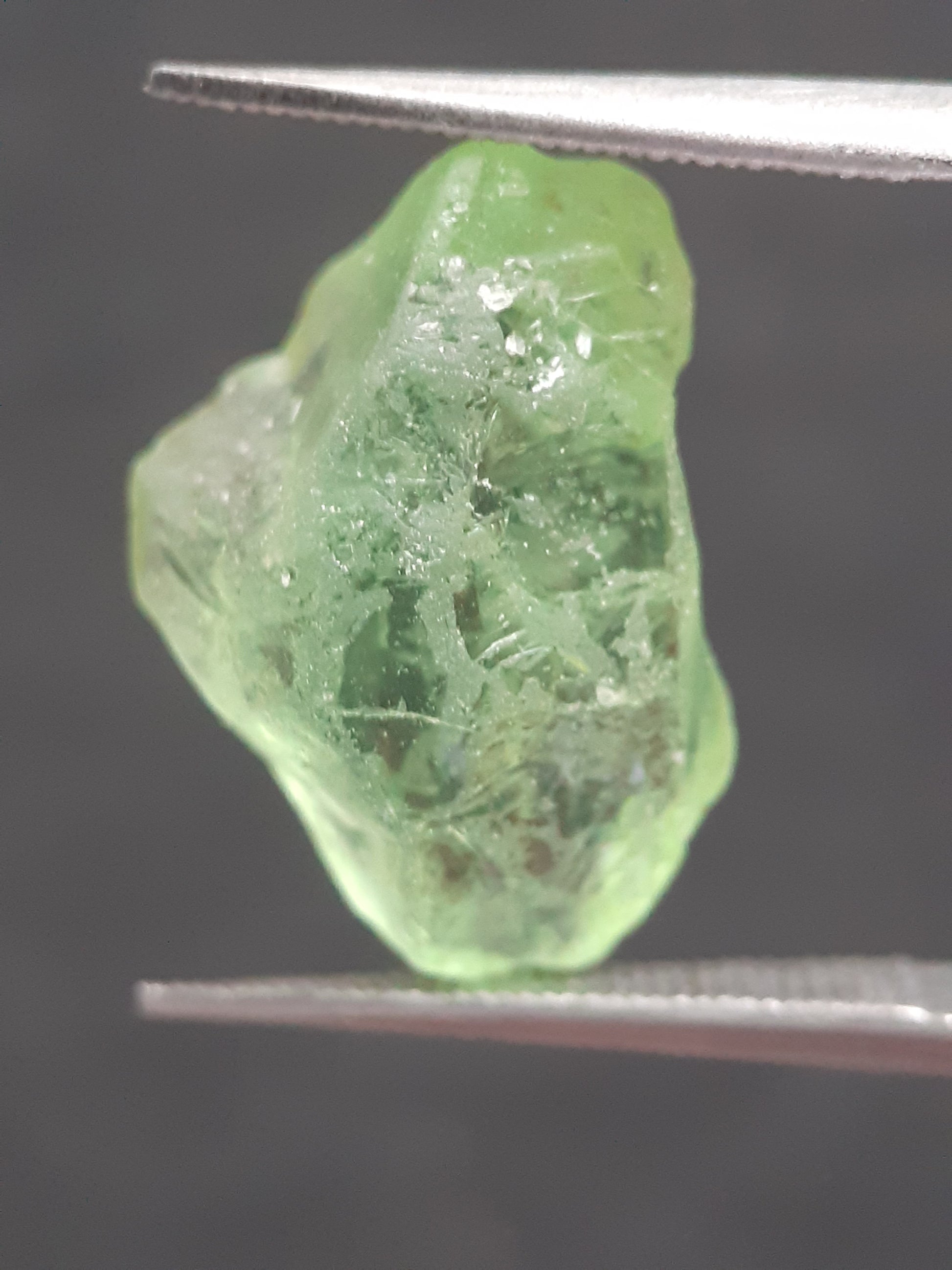 Natural Green Peridot - 6.589 ct - rough gemstone - for faceting - certified natural - Natural Gems Belgium