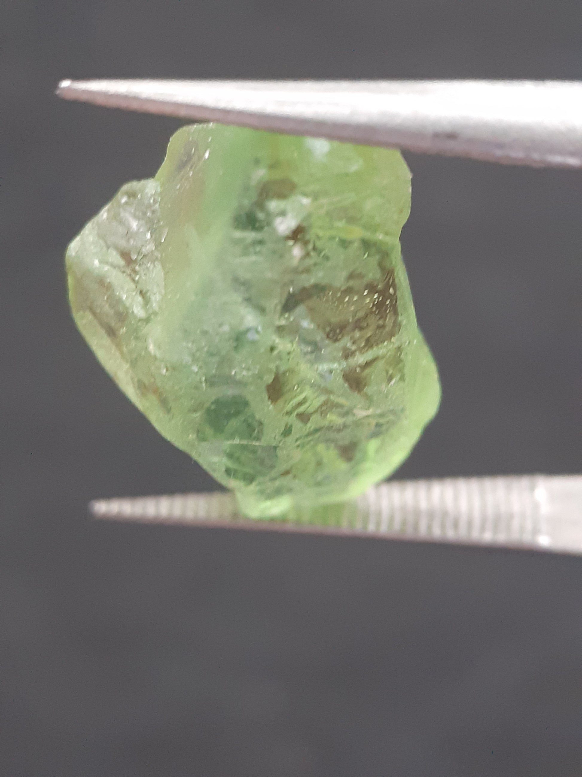 Natural Green Peridot - 6.589 ct - rough gemstone - for faceting - certified natural - Natural Gems Belgium